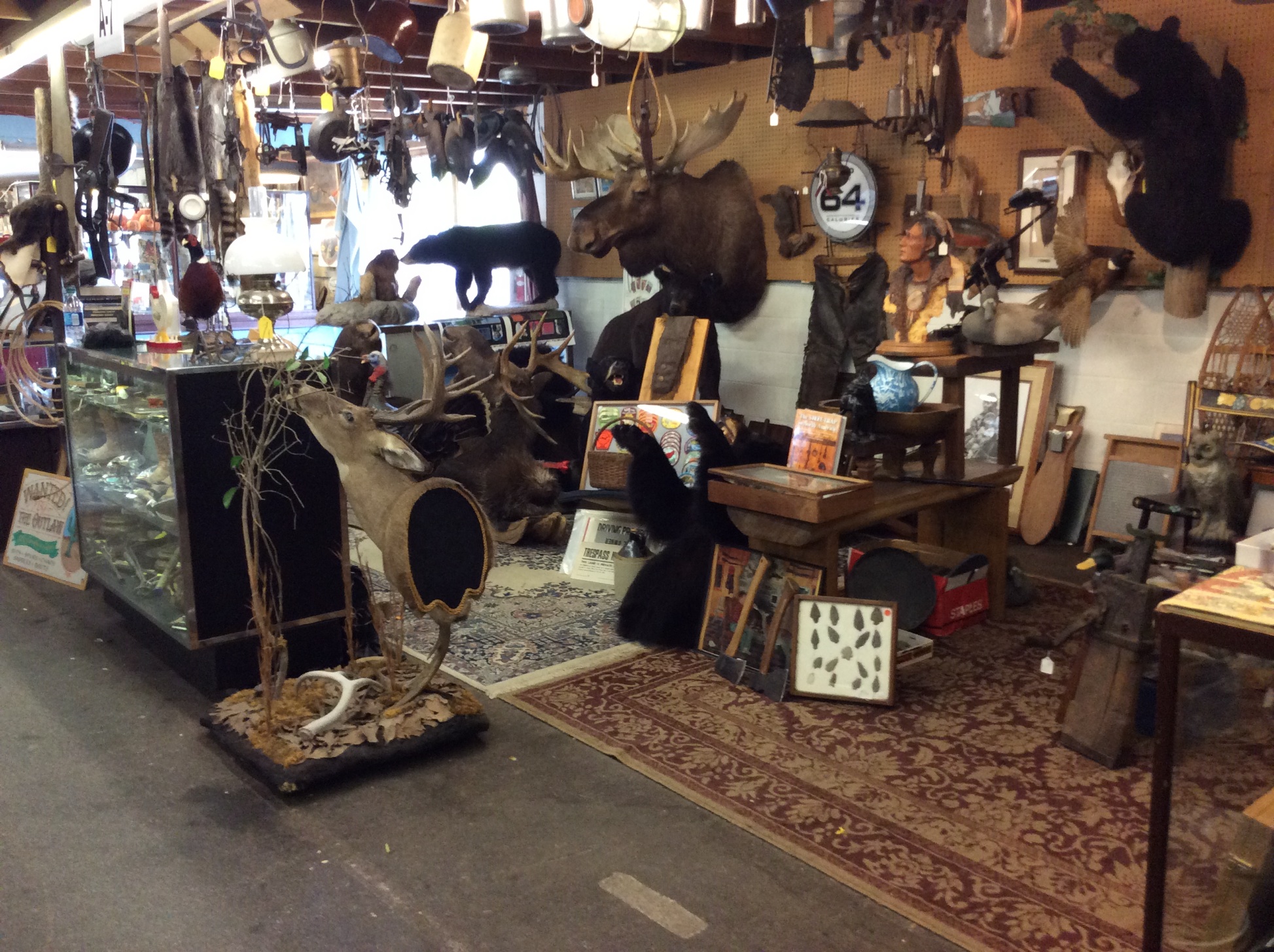 Dealer Listing - Taxidermy & Cowboy / Indian Artifacts Collector