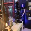 Jenny's Curious Shop