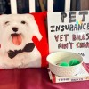 Robert Glasker Pet Insurance