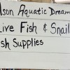 Gilson Aquatic Dreams