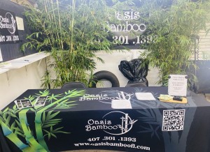 Oasis Bamboo