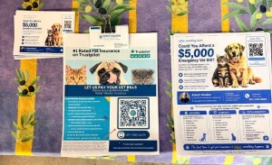 Robert Glasker Pet Insurance