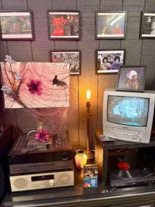 Jenny's Curious Shop