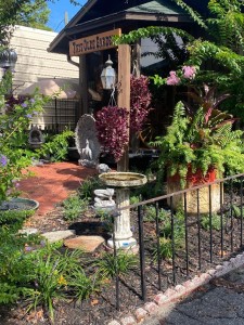 This Olde Garden