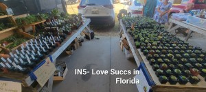 Love Succs in Florida