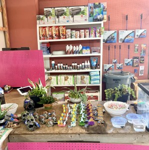 Gilson Aquatic Dreams