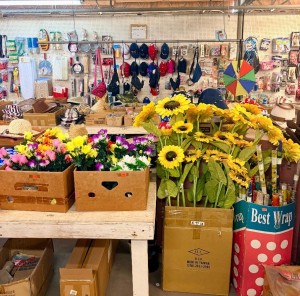 Tools & Dollar Up Store
