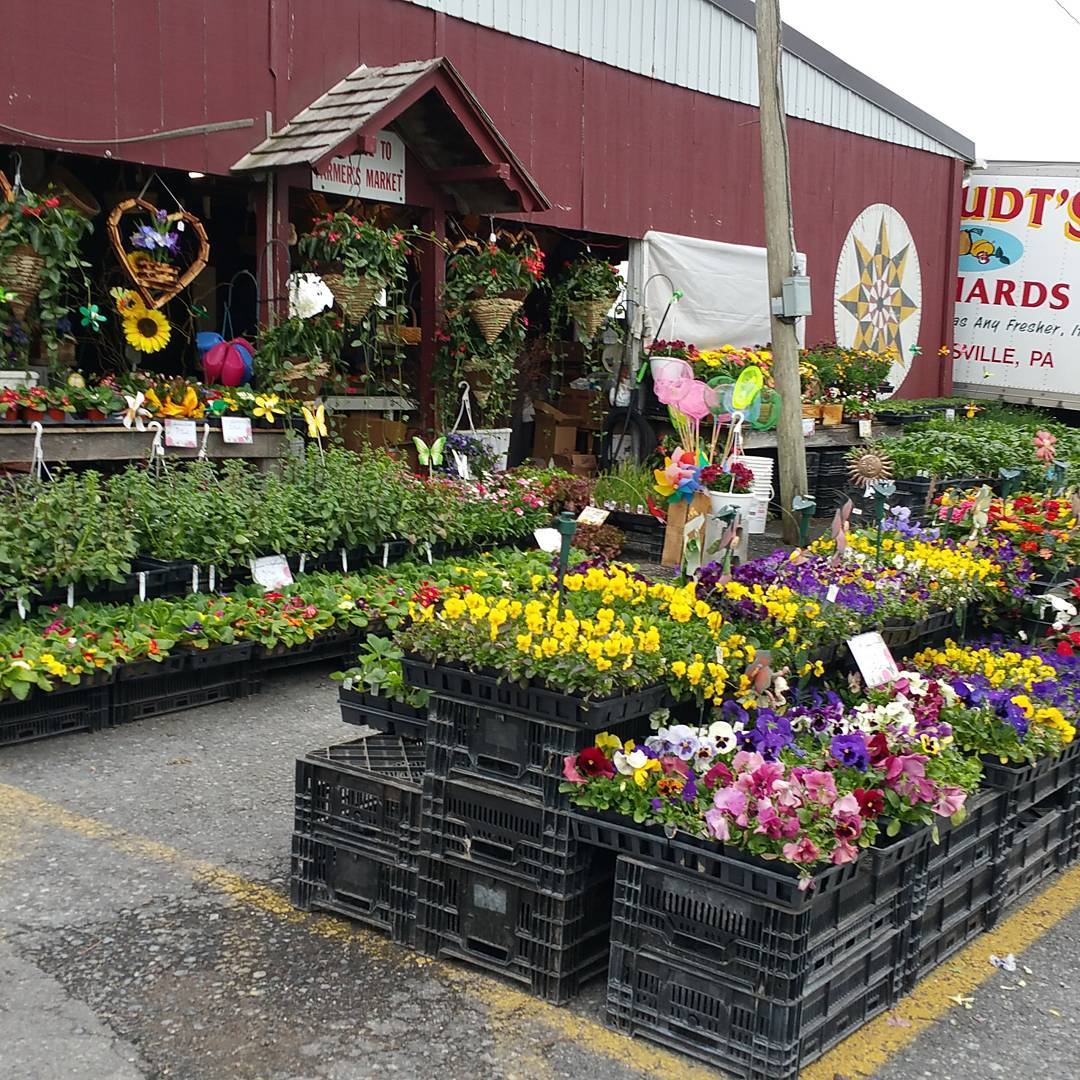 Renninger's Antique Market (Adamstown)